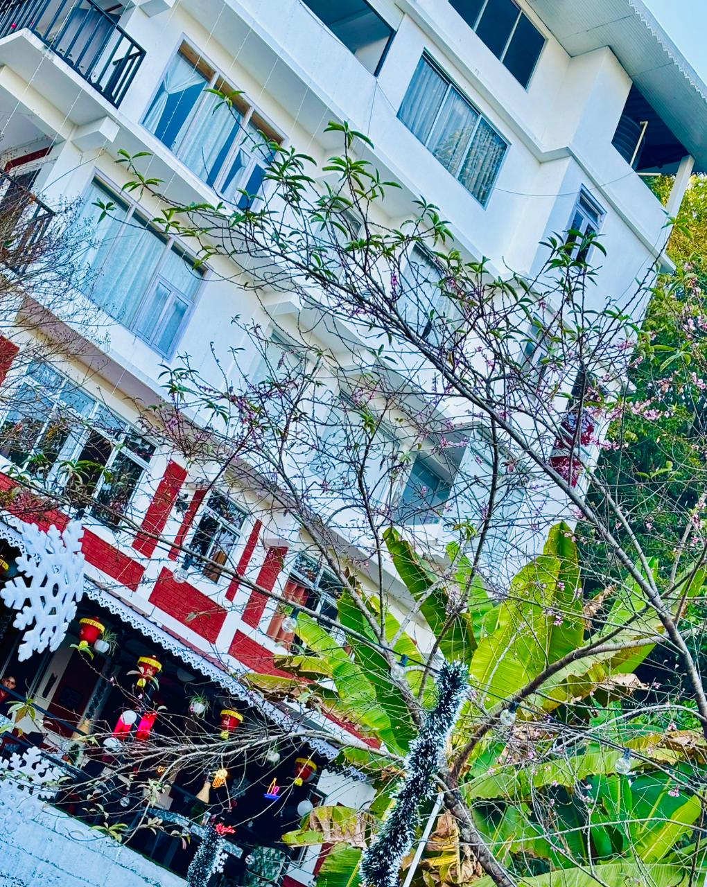 Arosia restaurant and building exterior with blossoming trees