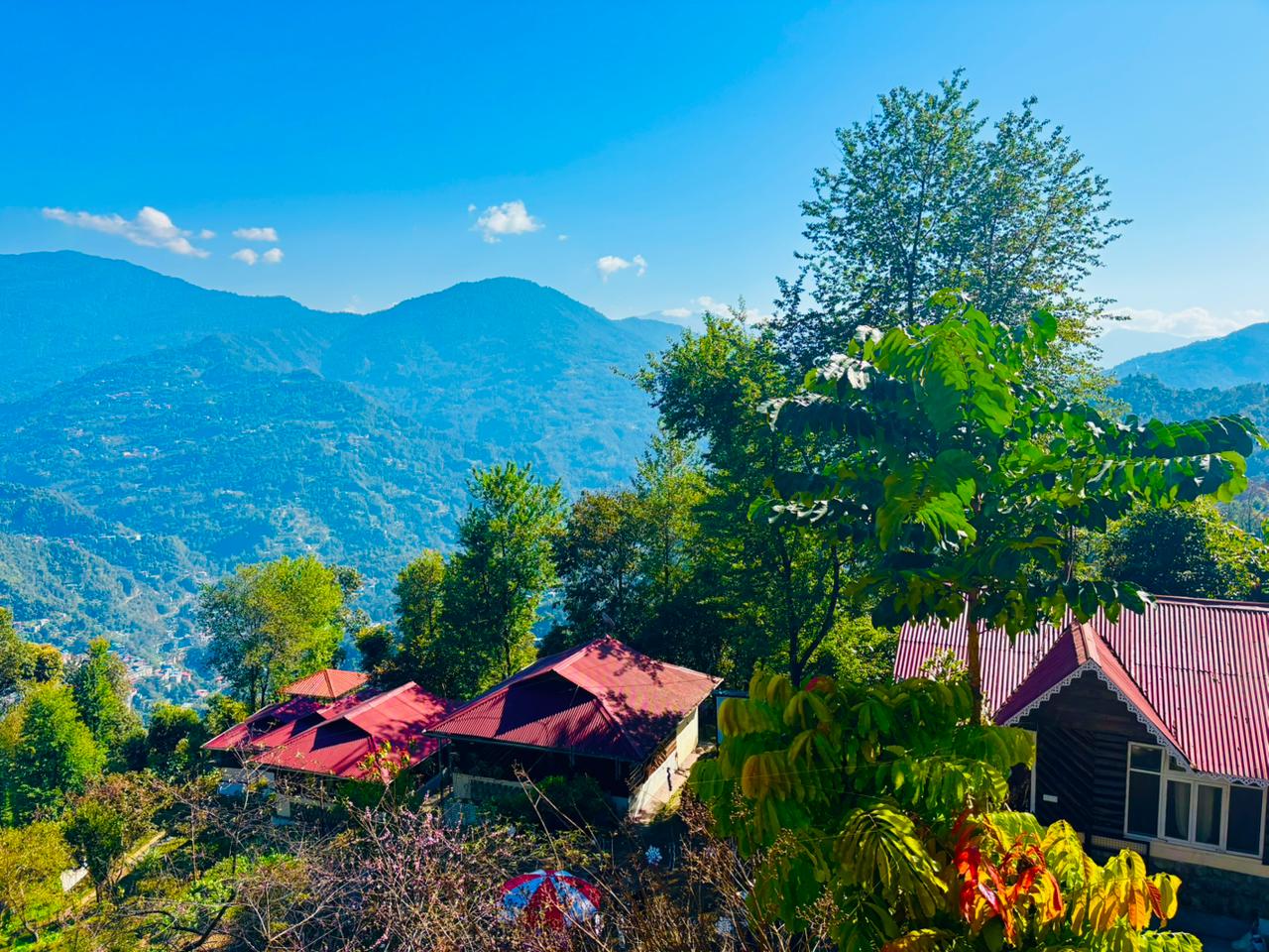 Arosia By Mustard Seed cottages with red roofs set among trees and mountain views in Rumtek, Sikkim