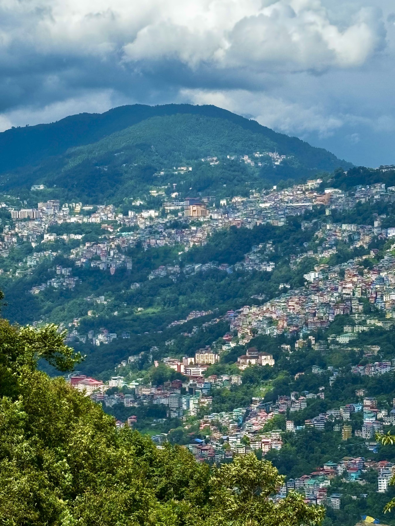 View from Arosia by The Hive of the forested mountain and hillside town